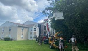 Trinity Trees of PSL