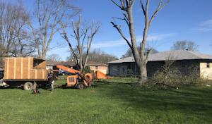 Airbourne Tree Service