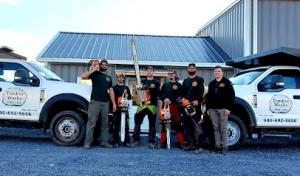 Timber Works Tree Care
