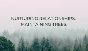 Veteran Arborists Raleigh