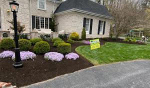 Amigos Lawn Care & Tree Service