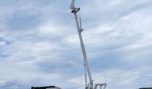 Nutmeg Tree Service & Ground Care