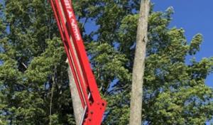 Tarzan Tree Service LLP.