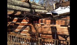 Little A's Tree Service