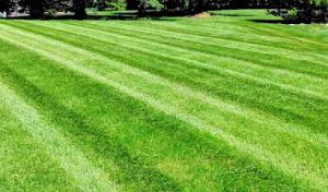 Open Water Septic Tank Services