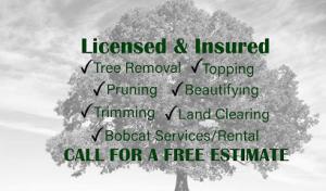 Always Fair Tree Care