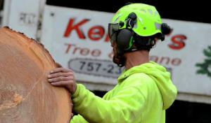 Kenny's Tree & Crane (KLJ Inc)