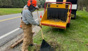 LIM 4 Him Tree Service