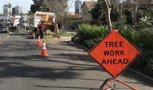 Best Value Tree Service