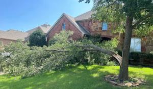 Stallworth's Tree Service Huntsville