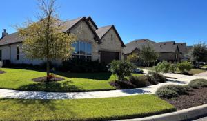 Graham's Tree Service