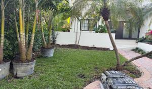 Alex Landscaping & Maintenance