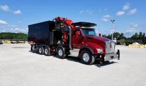 Out on a Limb Tree & Land