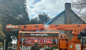 Veteran Tree Care
