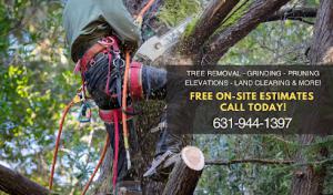 Alberto's Tree Service