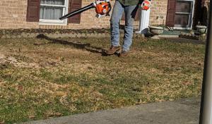 Terry's Tree Service