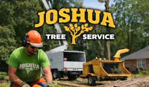 Joshua Tree Service