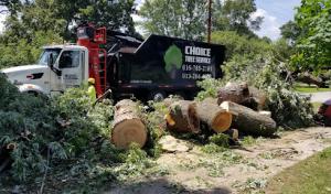 Choice Tree Service