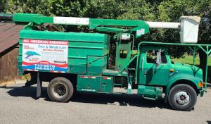 All American Arborist