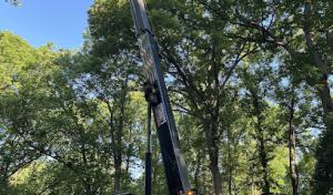 Fonville Tree Service