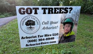 Arborist For Hire