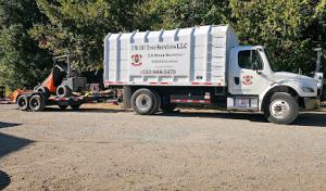 I'M IN Tree Services