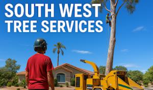 South West Tree Service