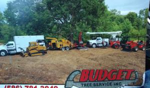 Budget Tree Service