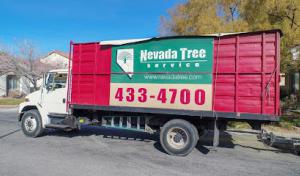 Nevada Tree Service