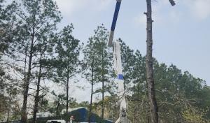 Wilson Fellers Tree Service