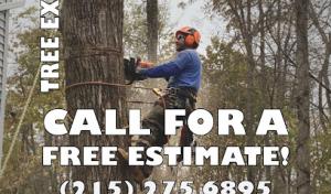 Zavala Tree Service & Landscaping