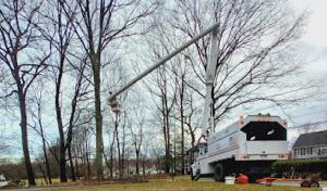 Diamond Landscaping & Tree Services