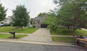 Nikolas Tree Service