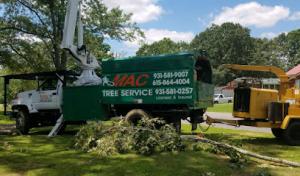 MAC Tree Service