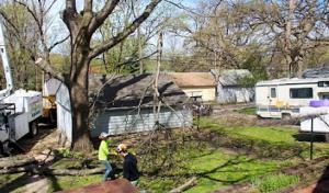 Premier Tree Service