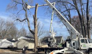 Steve's Tree Services, Landscape, Hauling & Excavating