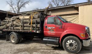 Strong & Sons Tree Service