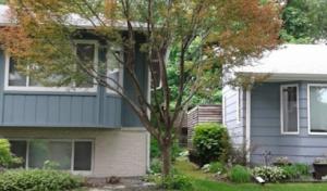 Austins tree & landscaping