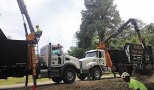 Robert's Tree Service