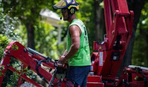 Kirkland Kutters Tree Service