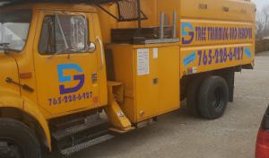 DG Tree Trimming & Removal