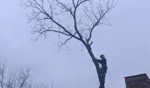 Howard Forest & Prairie