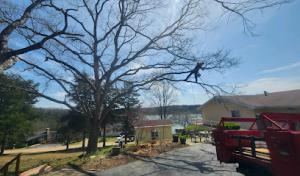 New Heights Tree Care