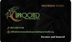 Uprooted Tree Services
