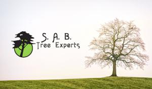 S. A. B. Tree Experts