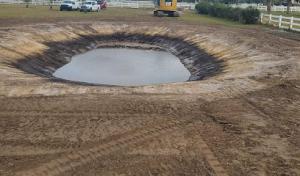 Freedom Tree & Land Development