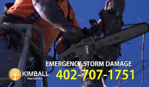 Kimball Tree Service