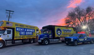 Rent A Monkey Tree Service