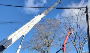 T.W. Enterprises, Inc Tree & Landscaping