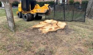 Shupp's Stump Grinding